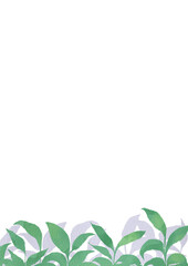 手描きの緑の葉と水彩背景のイラスト
