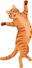 Joyful Orange Tabby Cat Dancing with Paws Raised Transparent PNG
