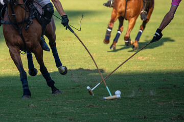 polo horses with polo sticks and ball on a polo field during a match