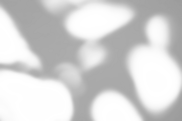 Abstract natural tree branch leaves shadow on white wall background