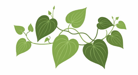 green leaves isolated on white