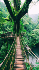 Fototapeta premium Suspension Bridge Crossing a Lush Green River Valley in Bali, Indonesia with Dense Tropical Rainforest and Ancient Tree, Adventure Travel Destination