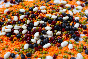 Colorful mixed beans and lentils, packed with plant-based protein and fiber