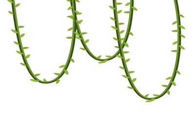 Hanging jungle vines illustration on black background © AbstractZone