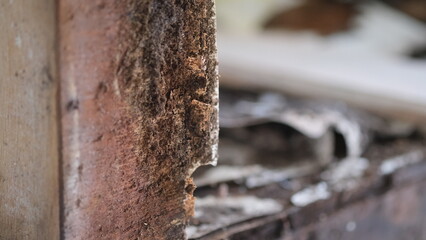 Wood that have been damaged due to prolonge water seepage.