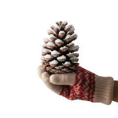 Pine cones