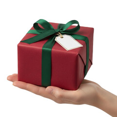 Hand holding a gift box