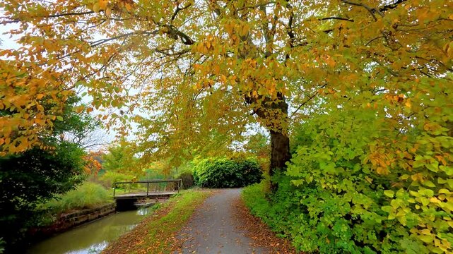 Peaceful autumn scenery, Quiet and peaceful fall scenery showcasing autumnal park trail surrounded by colorful trees