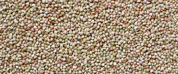 Raw buckwheat groats, a gluten-free superfood rich in fiber, protein, and minerals