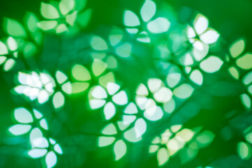 White forget-me-not bokeh on dark background – abstract small floral holiday background, front...