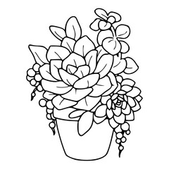 simple botanical sketch: mixed succulent houseplant in container