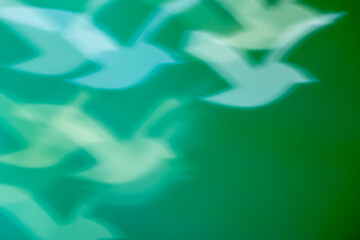 White seagull bokeh on dark background – abstract flying birds, holiday backdrop, front view