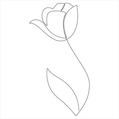 Continuous one line drawing of tulip flower outline design vector illustration