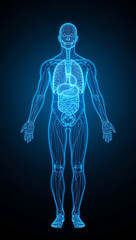 human anatomy wireframe glowing internal organs futuristic light healthcare innovation medical science background