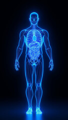 human anatomy wireframe glowing internal organs futuristic light healthcare innovation medical science background