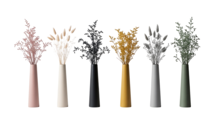 Six vases with dried flowers transparent background cutout png
