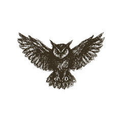 Owl with Wings Spread