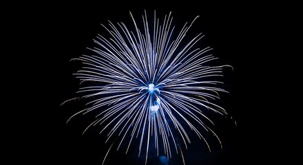 Obraz premium Spectacular blue firework bursting brightly in the night sky, illuminating the darkness with vibrant light and a dazzling display of festive celebration.