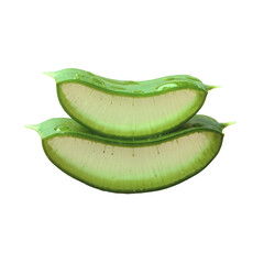  Aloe Vera Leaf Slice Isolated on Transparent Background, Fresh Herbal Plant for Skincare and Health