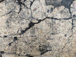 Severely cracked, aged concrete pavement showing extensive spiderweb cracking and deterioration. The light gray, textured pieces are separated by deep, dark fissures, indicating neglect.