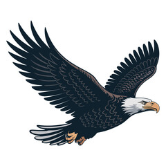 Fototapeta premium american bald eagle