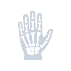 Fototapeta premium Anatomy of a human hand, showing the bones in a detailed, artistic, and medical illustration.