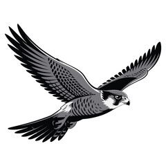 eagle in flight