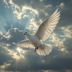 Obraz premium White dove flying through dramatic sky with sunbeams