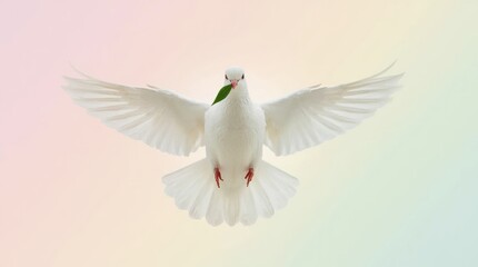 Obraz premium White dove with green leaf in beak flying against a soft pastel background