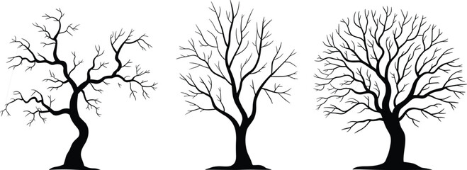 Stylized silhouette trees with bare branches, artistic winter tree shapes, nature illustration for seasonal, botanical, educational, and decorative design themes