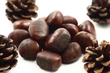 豊かな実りの秋に収穫された大きな栗たち