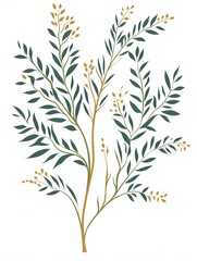 Fototapeta premium Stylized botanical illustration of a tree with green leaves and