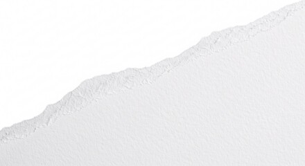 Obraz premium Dynamic close-up of a pristine white paper sheet featuring a meticulously torn, rough edge with visible fibers, offering a versatile design element for backgrounds or creative overlays