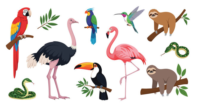 A collection of exotic animals and birds, featuring macaws, ostriches, flamingos, toucans, sloths, and snakes.