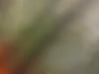 blurred, abstract, soft focus, bokeh, nature, organic, gentle, 