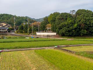 神社と里山の風景