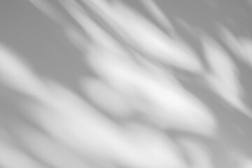 Wall interior background, studio and backdrops show products.with shadow from window color white and grey. background for text insertion and presentation product	