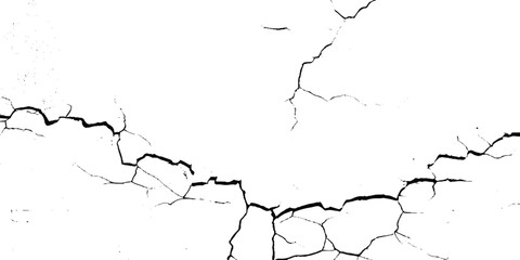 Vector group of black branch grunge cracks isolated on white background