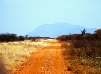 Dirt road to somewhere at Tau Game Lodge,  South Africa with mountain in the distance