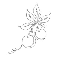 continuous line of cherry fru...