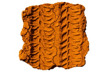 Piece of cracked orange desert soil with a car tire track isolated with transparent background