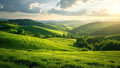 Lush Green Rolling Hills Bathed in Golden Sunlight Under a Cloudy Sky