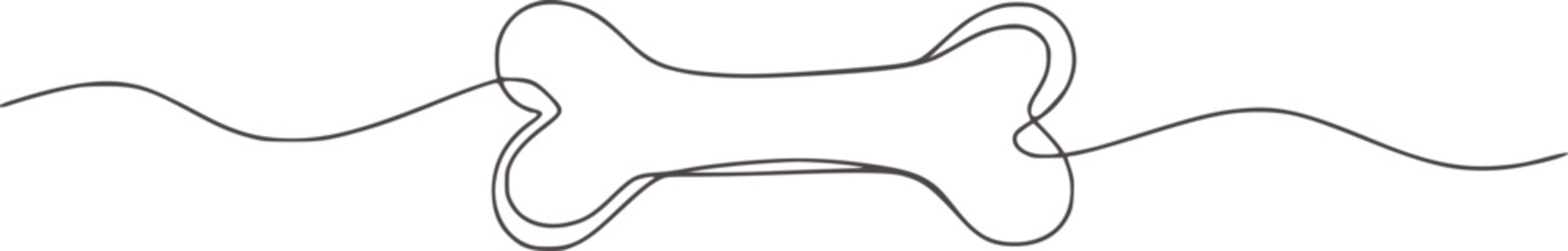 Minimalist dog bone line drawing vector