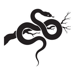 Fototapeta premium Black snake coiled on a tree branch