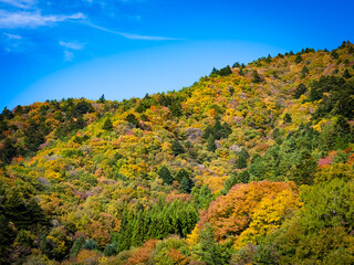 澄み渡る青い空と山々を彩る美しい紅葉　秋晴れに輝く日本の絶景風景