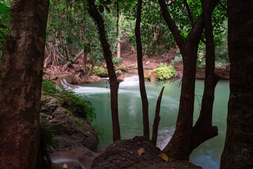 Hidden Oasis: A serene waterfall cascades gently into a crystal-clear pool, surrounded by lush green foliage and towering trees in a secluded forest, inviting tranquility and introspection.