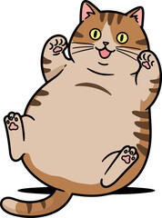 Chubby Cat Playful Paws Up Yellow Eyes Brown Tabby