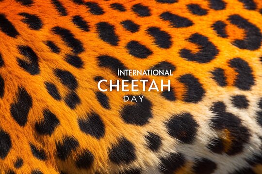 International cheetah day celebration with a close up of a cheetah print pattern in silhouette