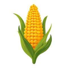 Obraz premium Vibrant Corn Cob with Green Leaves Illustration.