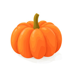 Obraz premium Vibrant Orange Pumpkin with Prominent Stem on White Background.
